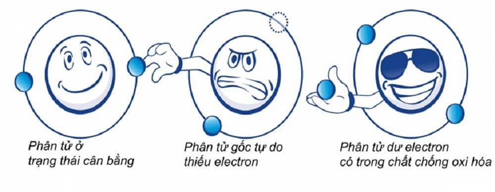  Tìm hiểu chất oxi hóa là chất gì? Đặc điểm tính chất và ứng dụng